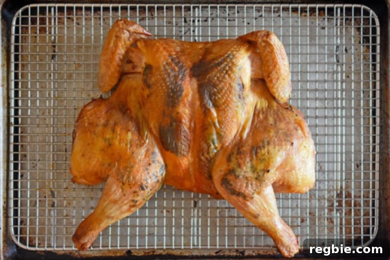 Transform Chicken with Herb Butter Spatchcock Juicy and Crispy 21 An overhead shot of Spatchcocked Chicken with Herb Butter fresh out of the oven, golden brown and perfectly roasted.