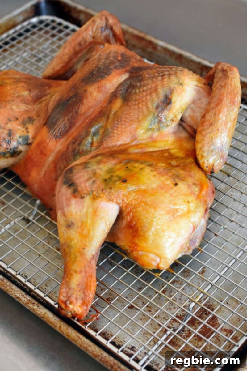 Transform Chicken with Herb Butter Spatchcock Juicy and Crispy 22 A side view of Spatchcocked Chicken with Herb Butter fresh out of the oven and ready to eat, highlighting its crispy skin.