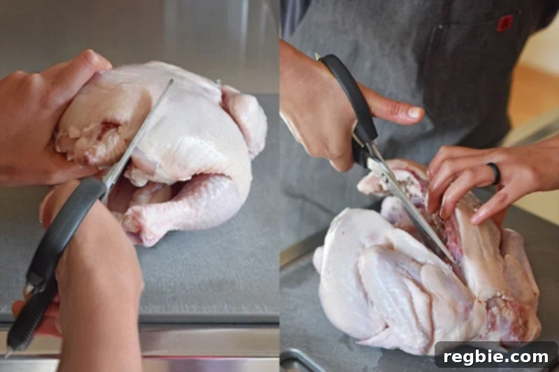 Transform Chicken with Herb Butter Spatchcock Juicy and Crispy 5 Cutting the back bone out of a raw chicken with kitchen shears.