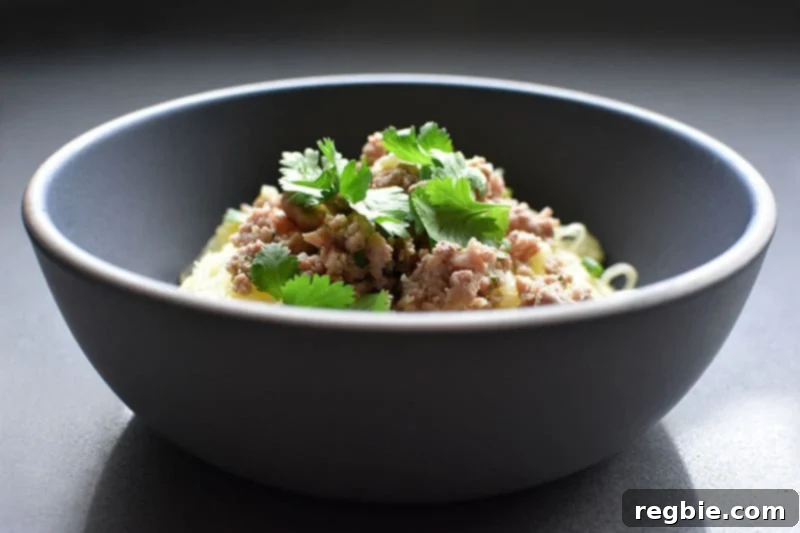 Quick Foolproof Instant Pot Spaghetti Squash 14 A side view of a delicious bowl of Instant Pot Spaghetti Squash, lavishly topped with seasoned ground pork and vibrant cilantro leaves, showcasing a perfect and healthy meal.