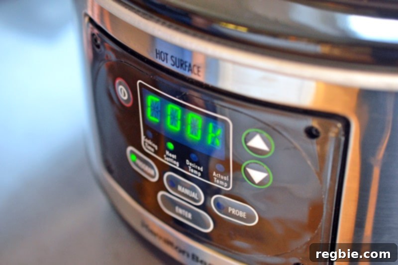 A closeup shot of the front of a slow cooker.