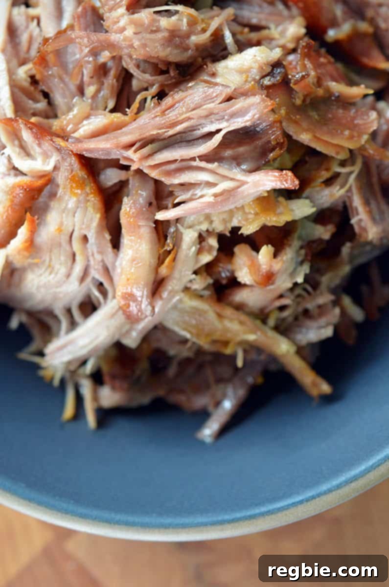 An overhead shot of a bowl of Slow Cooker Kalua Pig, garnished with fresh herbs, ready to be served.