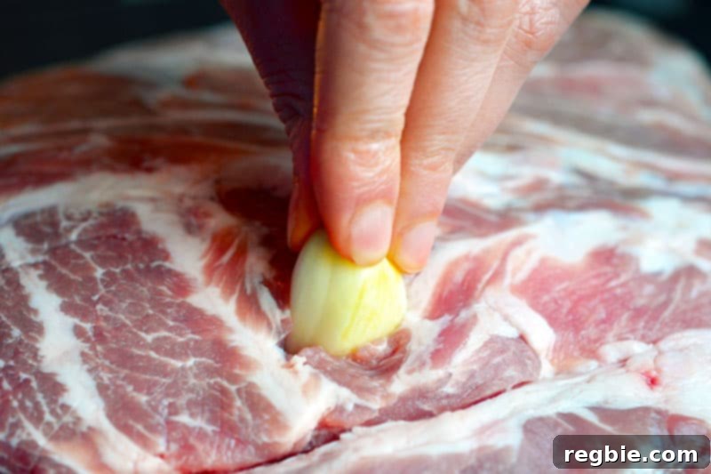 A close-up shot of a whole peeled garlic clove being inserted into a slit in a pork shoulder roast, showing the preparation for flavor infusion.
